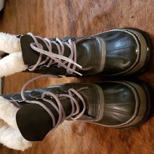 Sorel caribou